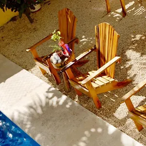 book here